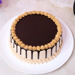 Coffee Chocochip Cake