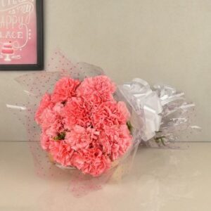 Lovely Pink Carnations