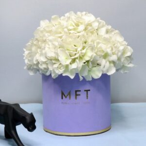 White Hydrangea Luxury Collection