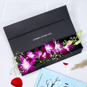 Orchids in a Box