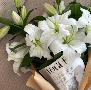 Romance of Lilies